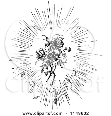 1149602 Clipart Of A Retro Vintage Black And White Rose Burst Royalty    