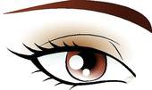 Brown Eyes Stock Illustrations   Gograph