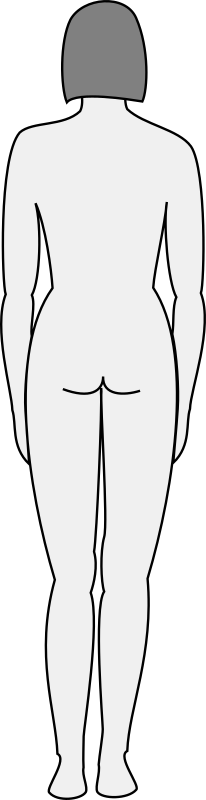 Female Body Silhouette   Back By Nicubunu   Back View Of A Female Body    