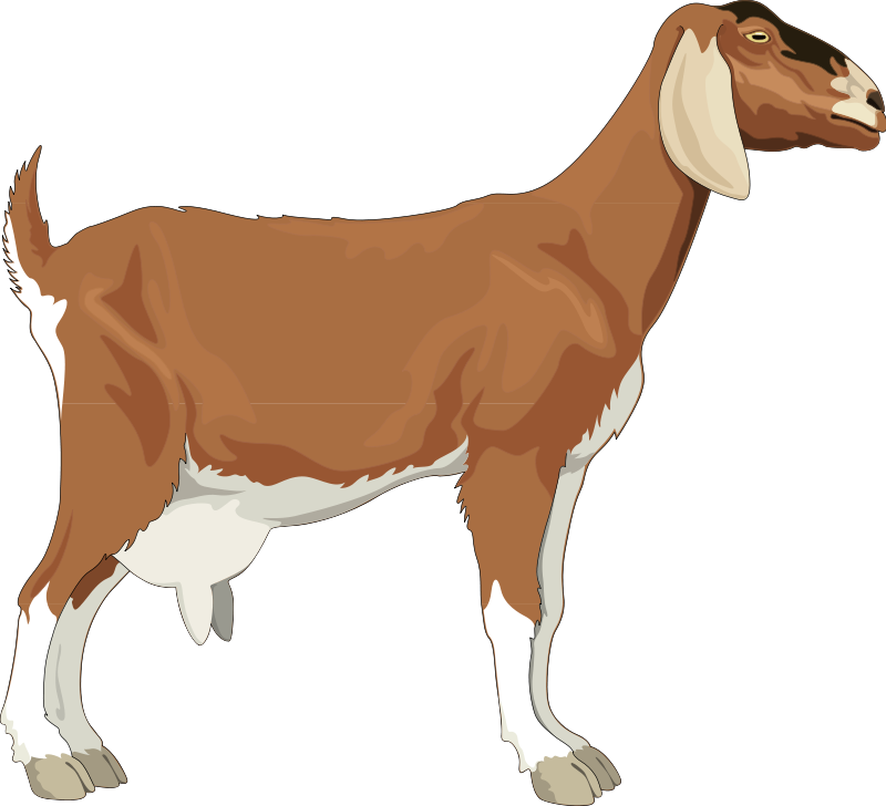 Print Your Free Goat Animal Clip Art Below