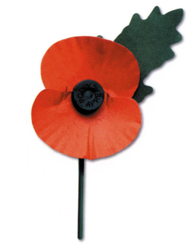 Says Wearing Poppy With A Pin Is Not A Safety Hazard   Metro News
