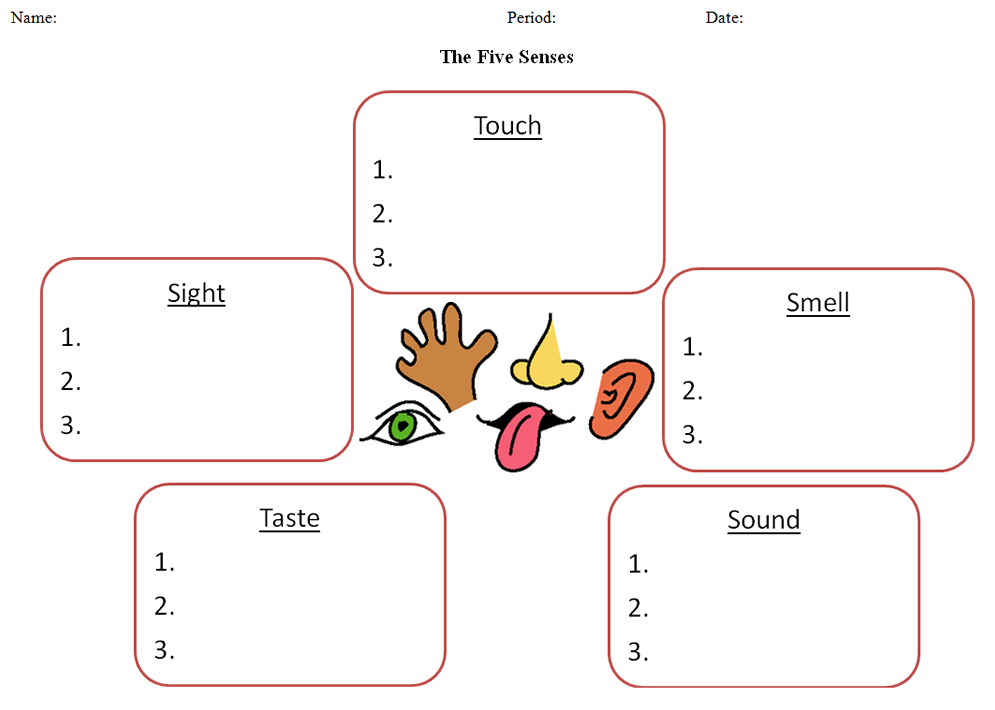 Teaching Five Senses   Worksheets For All Senses