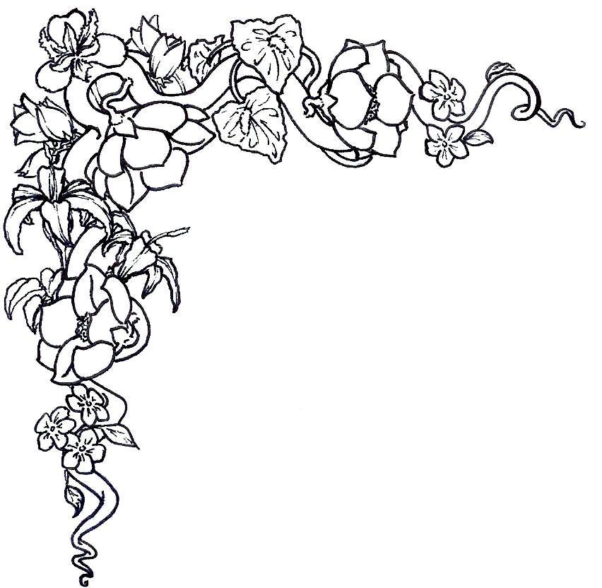 18 Flower Border Black White Free Cliparts That You Can Download To