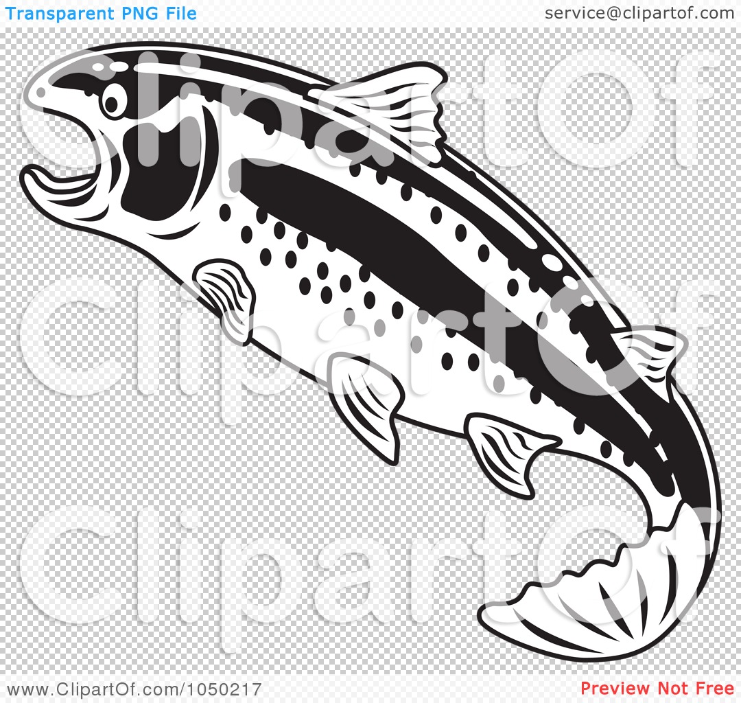 Art Illustration Of A Black And White Rainbow Trout By Andy Nortnik