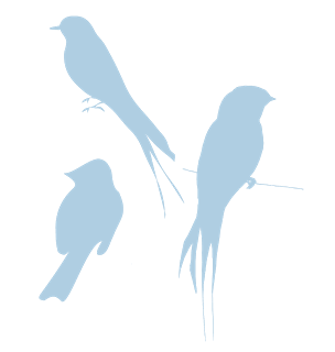 Blue Silhouette Birds Look So Romantic And Peaceful  Now These Eri    