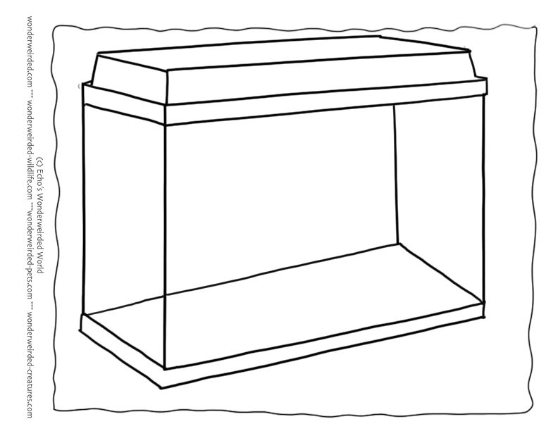     Coloring Pages Free Outline Drawing Of Aquarium Coloring Pages