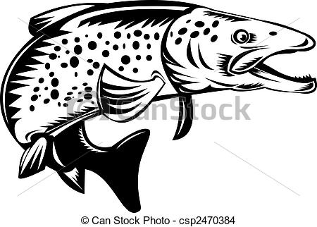 Drawing Of Spotted Or Speckled Trout Jumping   Illustration Of A