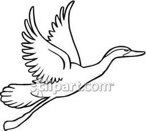 Flying Owl Clipart Black And White Black And White Goose In Flight    
