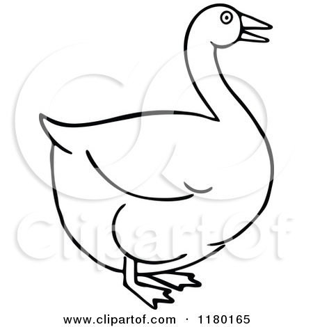 Goose Clip Art 1180165 Clipart Of A Black And White Goose Royalty Free    