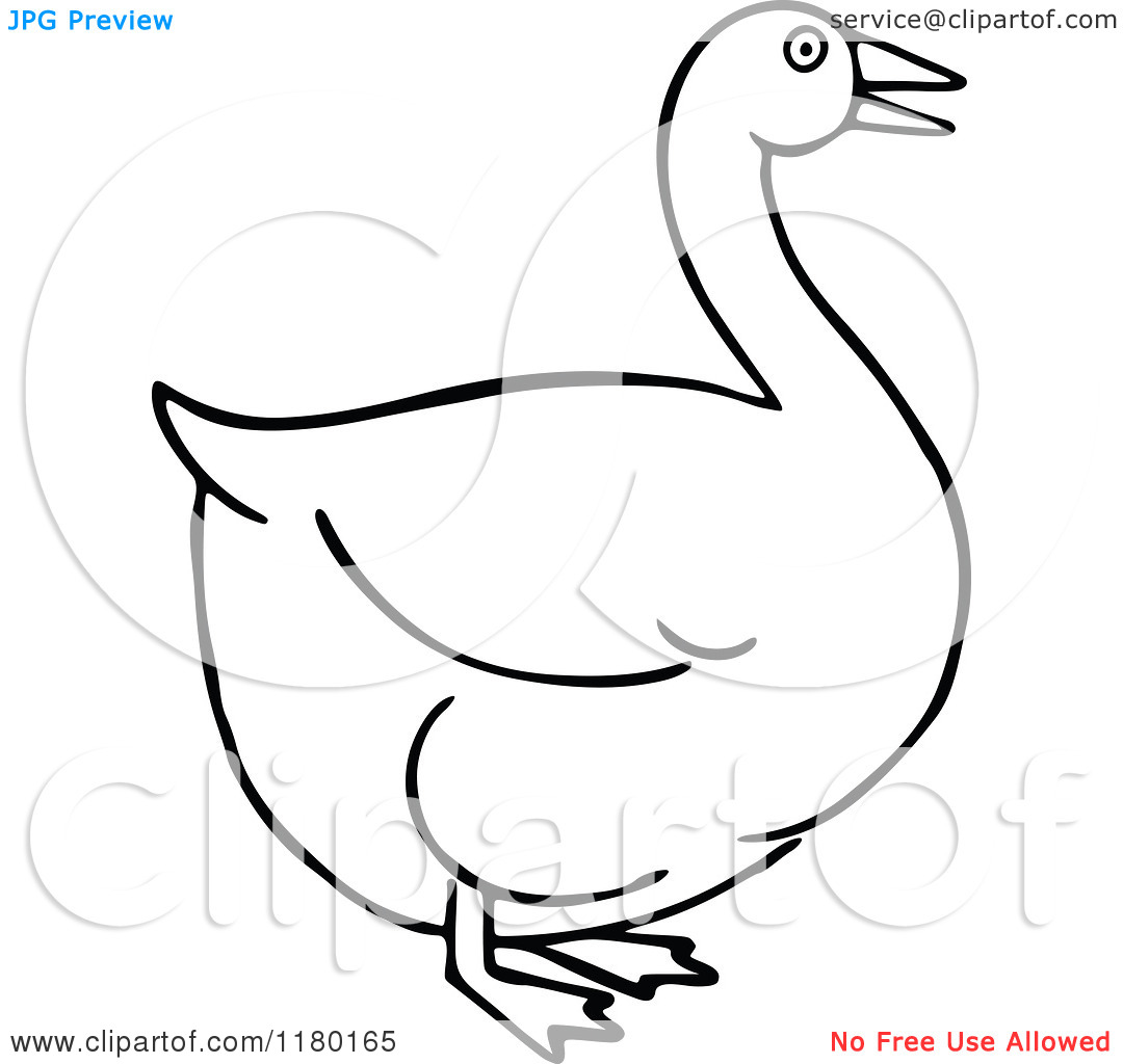 Goose Clipart Black And White Clipart Of A Black And White Goose    