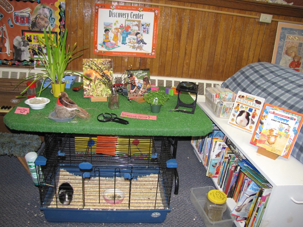 Preschool Science Area Click On Any Picture Below To