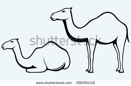 Silhouettes Of Camel  Image Isolated On Blue Background   Stock Vector