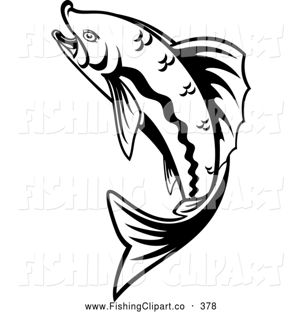 Trout Clipart Black And White Clip Art Of A Leaping Black
