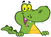 Alligator Illustrations And Clipart  422 Alligator Royalty Free