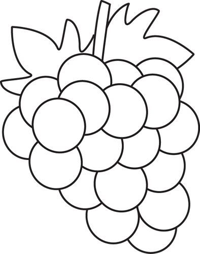 Black And White Grapes Clip Art   Black And White Grapes Image