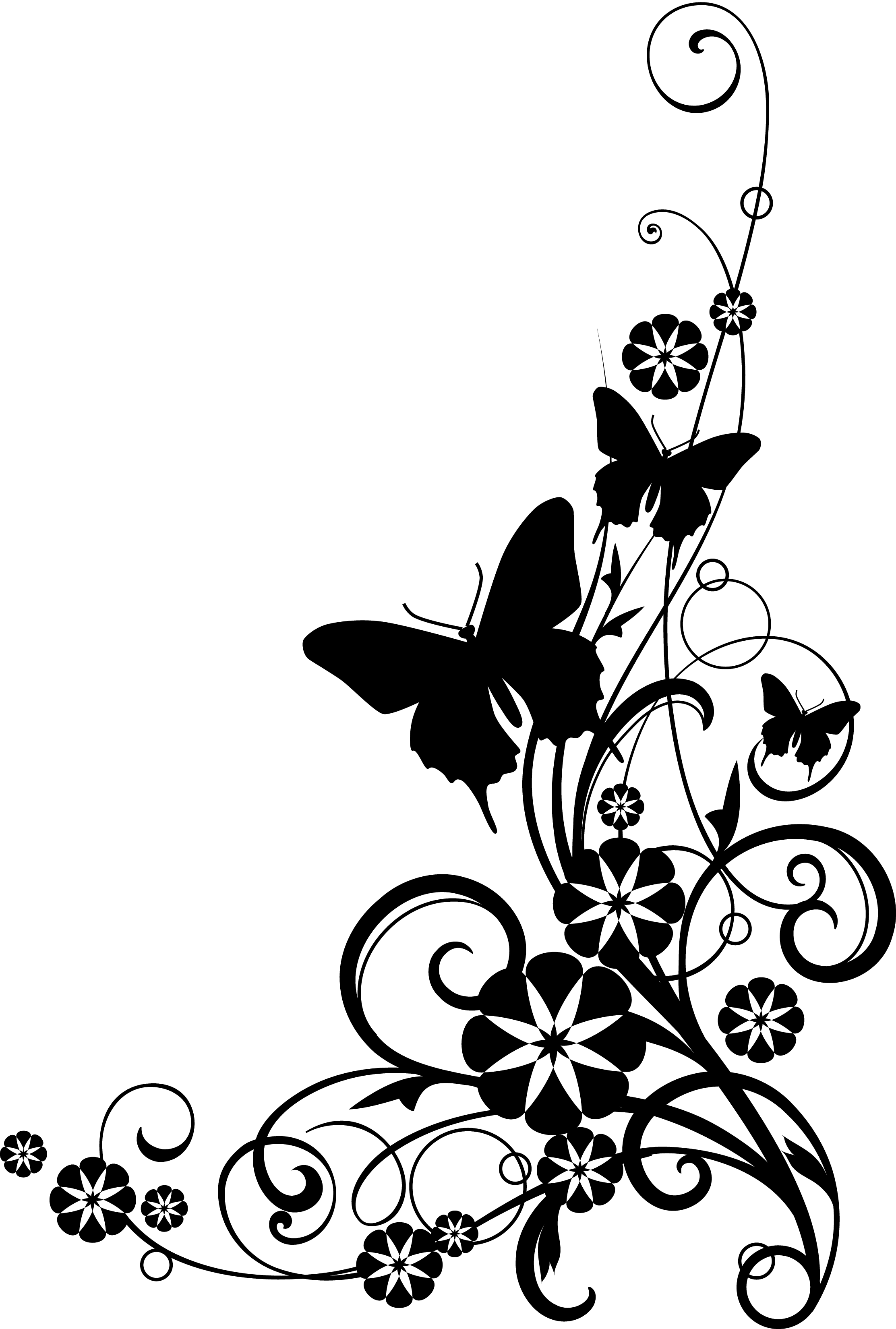 Clip Art Flowers Black And White Border
