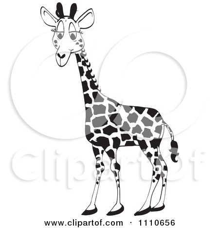 Clipart Black And White Giraffe   Royalty Free Illustration By Dennis