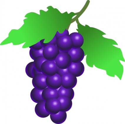 Grapes Clipart Black And White   Clipart Panda   Free Clipart Images