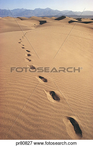 Picture   Footprints In Desert Sand  Fotosearch   Search Stock