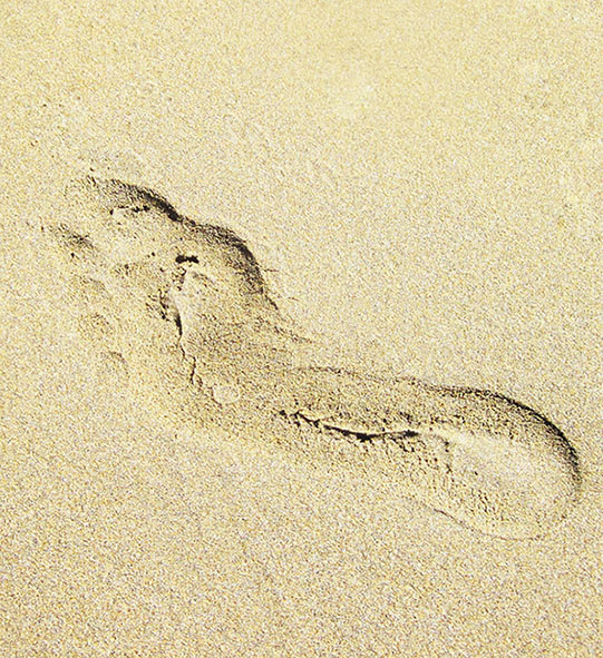 Sand Footprints Clip Art Car Tuning