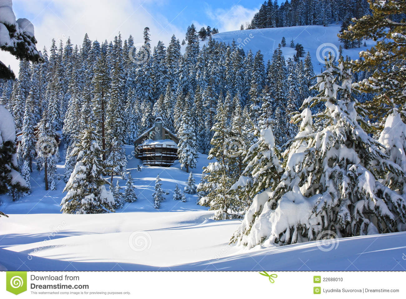 Snow Covered Cabin In The Woods