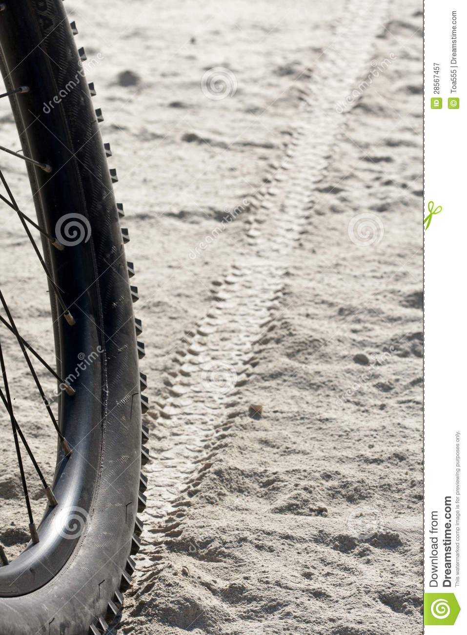 Tire Tracks On Dirt Royalty Free Stock Photography   Image  28567457