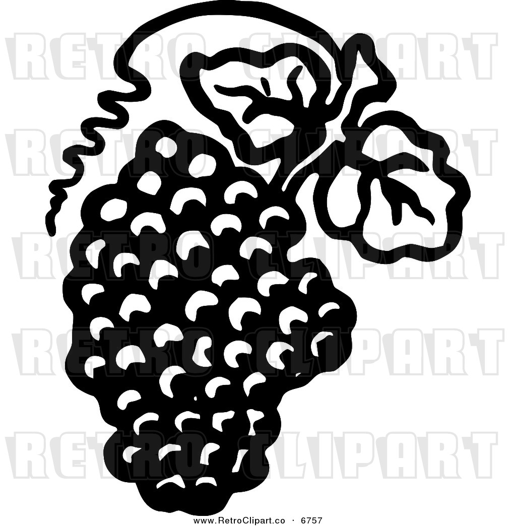Vector Clipart Of A Retro Black And White Bunch Of Grapes With Leaves