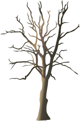 Dead Tree 2 Illustration Of Dead Tree Symbolvectorillustrationdead