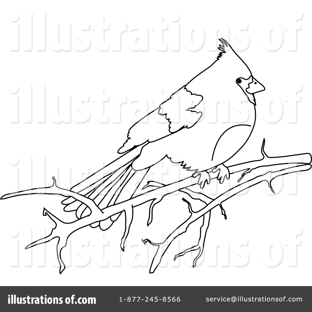 Free  Rf  Cardinal Clipart Illustration  1056028 By Pams Clipart
