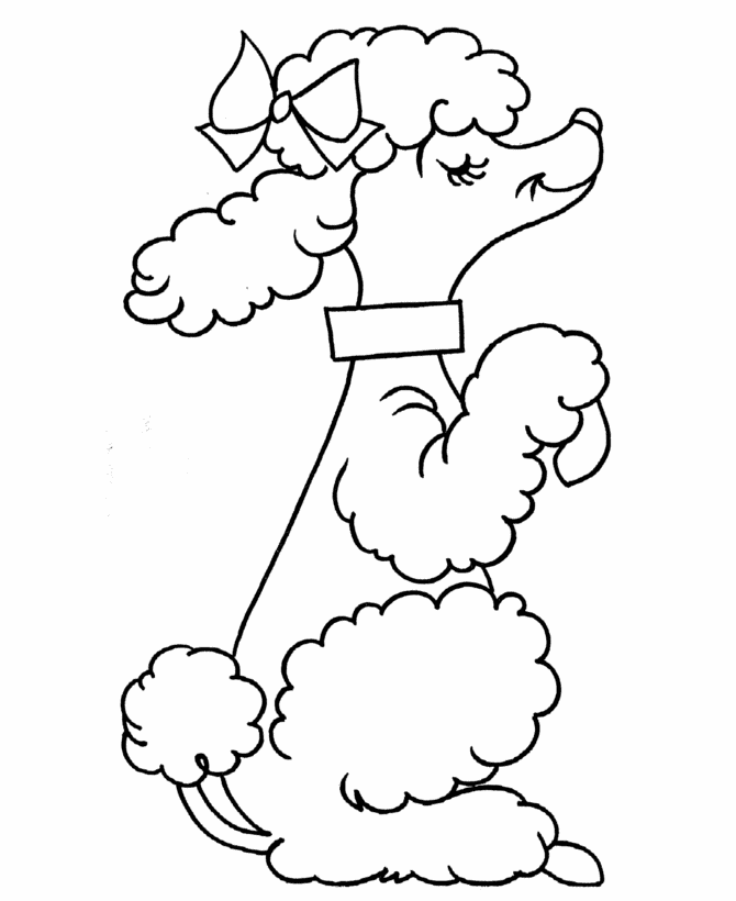 Pre Kindergarten Coloring Pages Are A Fun And Creative Activity That    