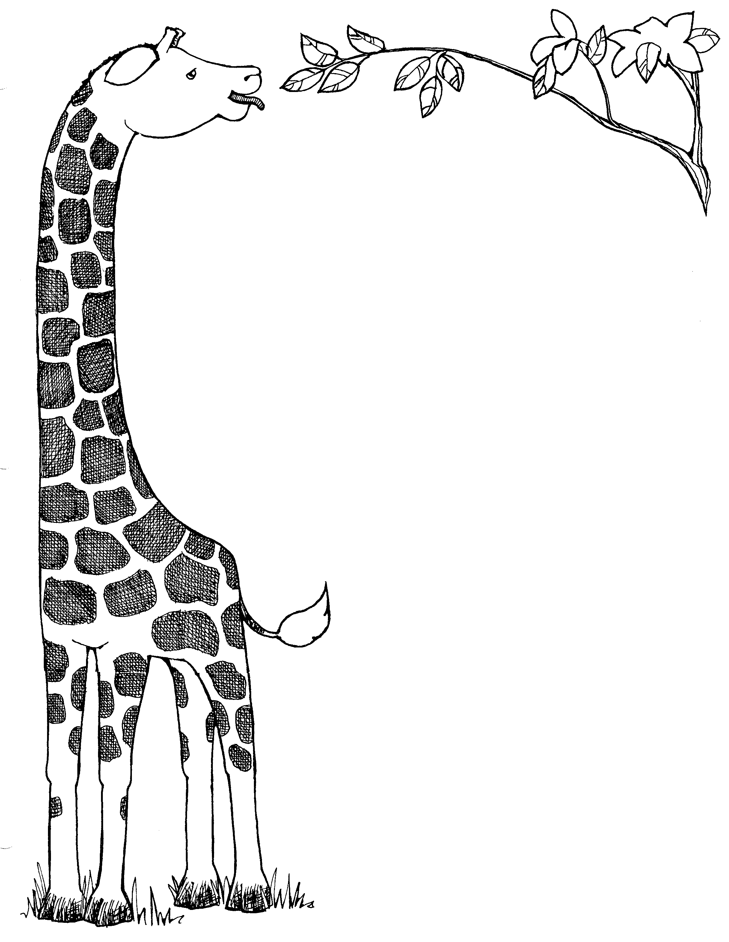 15 Black   White Giraffe Pictures   Free Cliparts That You Can