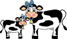 Baby Cow Face Clipart