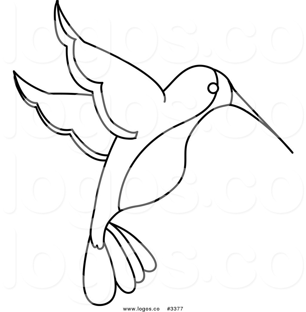 Black And White Hummingbird Clip Art