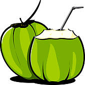 Coconut Clipart And Illustrations