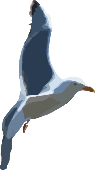 Flying Seagull Clip Art At Clker Com   Vector Clip Art Online Royalty