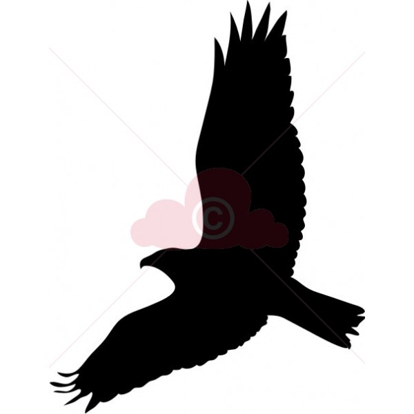 Free Us Eagles Clipart Images Graphics Animated Gifs Amp Animations