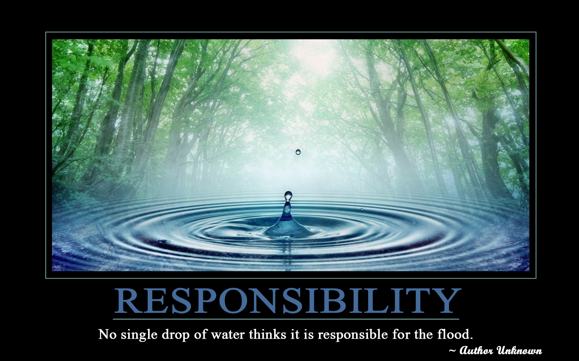 Of The Key Decision Makers  You Take Responsibility And Ownership