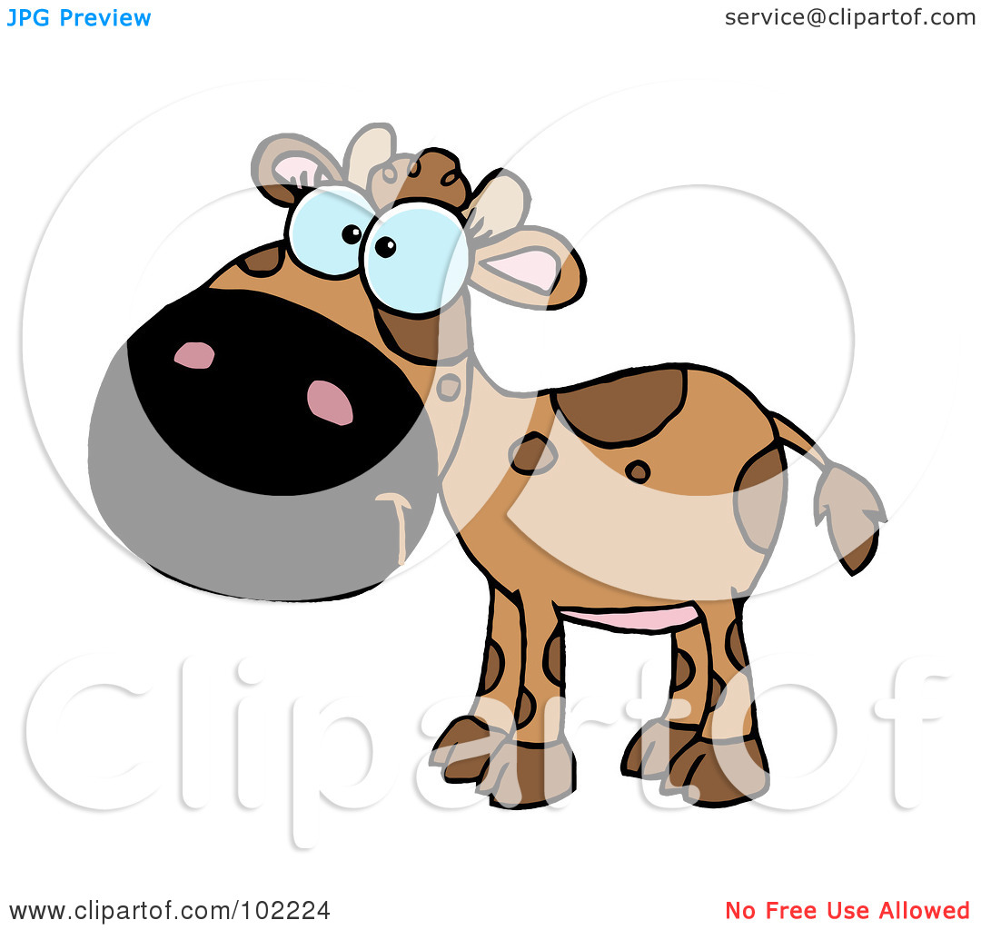 Royalty Free  Rf  Clipart Illustration Of A Brown Baby Cow By Hit Toon