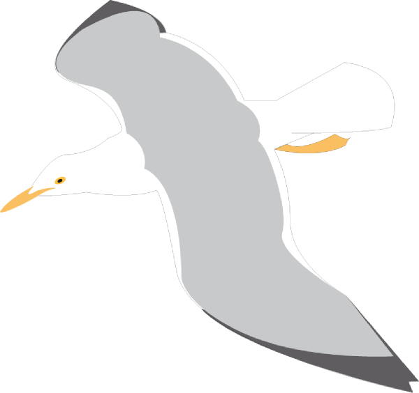 Seagull Clip Art At Clker Com   Vector Clip Art Online Royalty Free