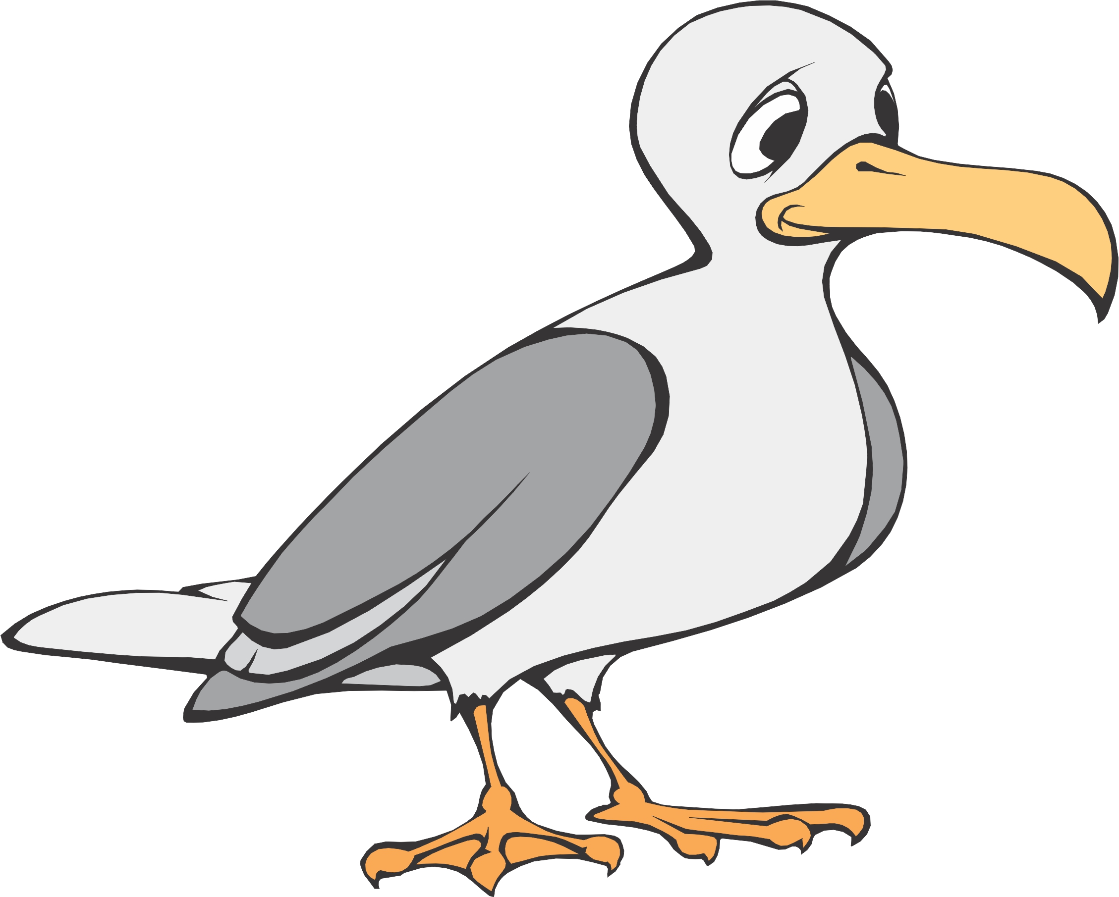 Seagull Clip Art   Cliparts Co