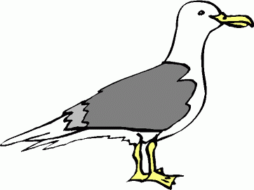 Seagull Clipart Black And White   Clipart Panda   Free Clipart Images