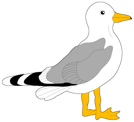 Seagull Clipart   Clipart Panda   Free Clipart Images