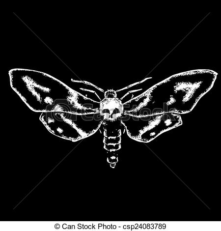 Skull Moth Black And White Illustration Csp24083789   Search Clip Art