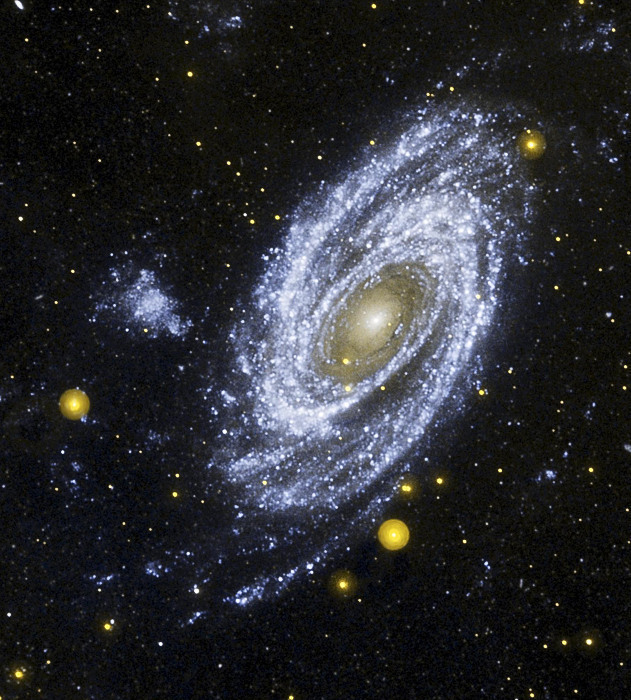Space Stars Universe Galaxy Spiral Galaxy M81 In Ultraviolet Jpg Html