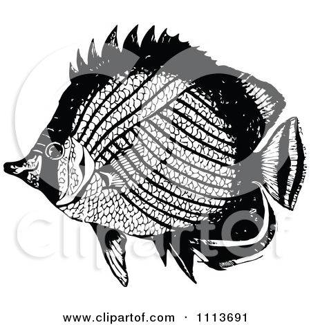 Vintage Black And White Tropical Marine Fish 3