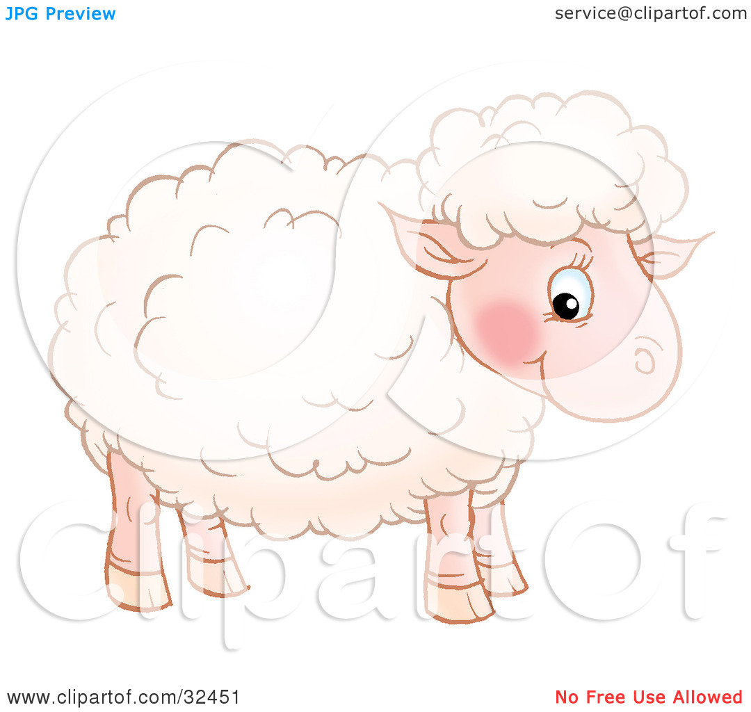 Cute Sheep Clipart