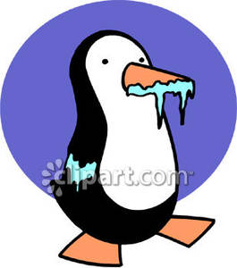 Frozen Penguin With Icicles   Royalty Free Clipart Picture