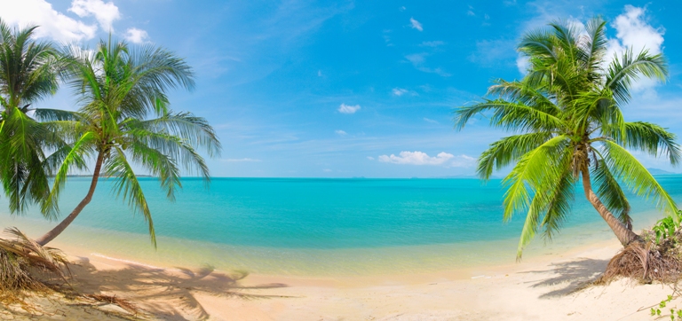 Panoramic Tropical Beach With Coconut Pa   Depositphotos   Alaxandr