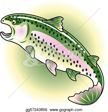 Vector Stock   Rainbow Trout Clip Art  Clipart Illustration Gg57243856
