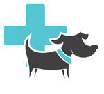 Animals First Aid Veterinary Help Animals Animals First Aid Isolated